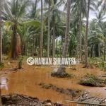 Astagfirullah.! Moutong di Kepung Banjir, Tiga Tanggul Jebol di Desa Salepae Belum Juga Tertangani
