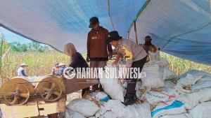 Pantau Lahan Jagung Desa, Polri Pastikan Program Ketahanan Pangan Lancar