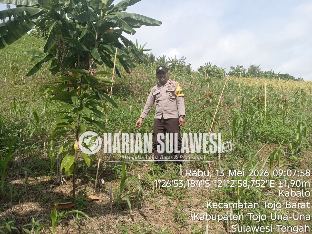 Polres Touna Intensifkan Pendampingan Ketahanan Pangan Melalui Pengecekan Lahan Jagung