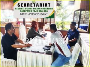 Program Penanam Pisang Candavis mulai Mendapat Perhatian di Tojo Una Una 