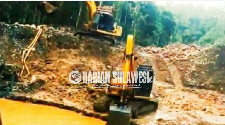 PETI Tombi Beroperasi Lagi, Satgas PHL Kantongi Nama Pemodal dan Temukan Dugaan Perambahan Hutan Produksi