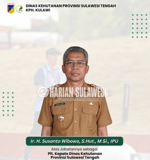 PETI di Ampibabo Diduga Merambah Hutan Lindung, Sungai Rusak Parah Hingga Petani Merugi