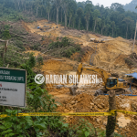 Hutan Produksi Terbatas Diduga Terus Digerus Peti Sipayo, Warga Desak Tindakan Tegas