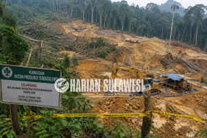 Hutan Produksi Terbatas Diduga Terus Digerus Peti Sipayo, Warga Desak Tindakan Tegas