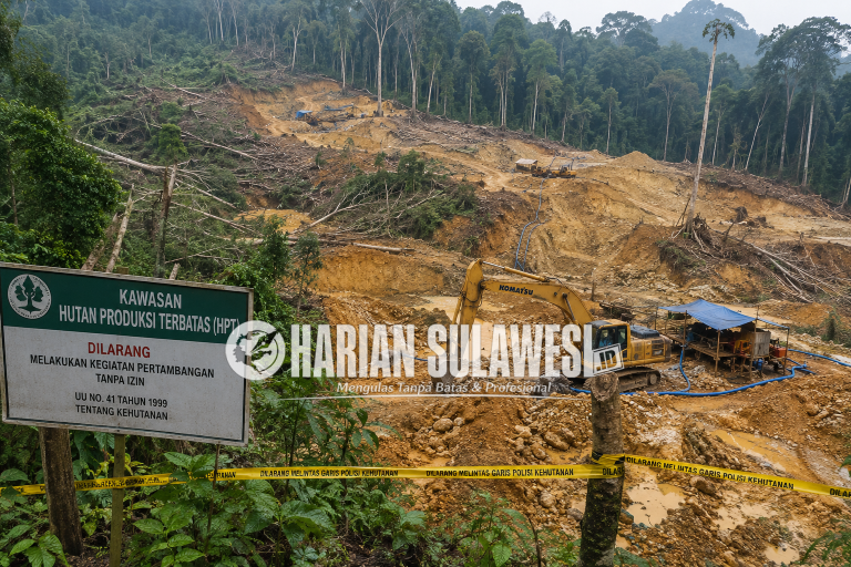 Hutan Produksi Terbatas Diduga Terus Digerus Peti Sipayo, Warga Desak Tindakan Tegas