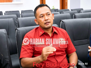 Hanura Buka Peluang Rekomendasi Sanksi untuk Selpina, Nasib Anggota DPRD Parimo Kini Ditentukan Proses BK