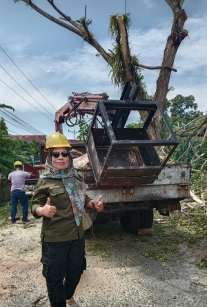 DLH Parigi Moutong Percepat Penanganan Pohon Rawan Tumbang, Dukung Penataan Lingkungan hingga Desa