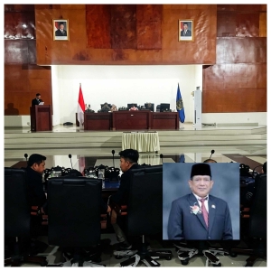 Akibat Hadir PETI, Daerah Tobasa Sebagai Penghasil Beras Berkualitas di Sulteng Bakal Hancurkan Petani