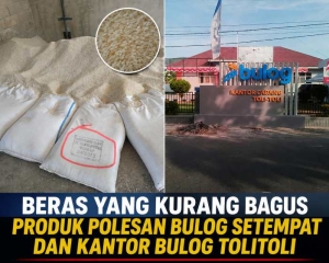 Beras Bulog di Tolitoli Diduga Menguning dan Berdebu, Pemolesan Jadi Sorotan