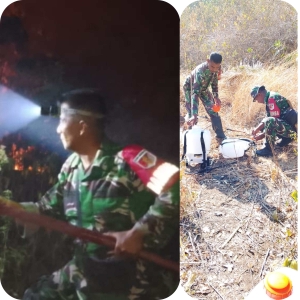 Karhutla di Tojo Una-Una Meluas, TNI Berjibaku di Area 14 Hektare Lahan Terbakar