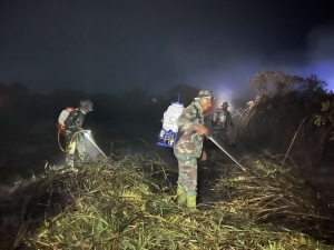 Karhutla Meluas di Touna, Lahan Pertanian Warga Diminta Segera Didata
