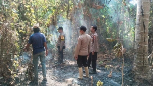 TNI–Polri–Warga Bersatu Padamkan Kebakaran Lahan di Lambunu Utara, Parimo