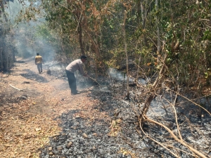 Karhutla Lima Hektare di Padauloyo, Kapolsek Hartono Pimpin Pemadaman