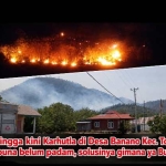 Karhutla Kepung Tojo, Asap Tebal Ganggu Aktivitas Sekolah