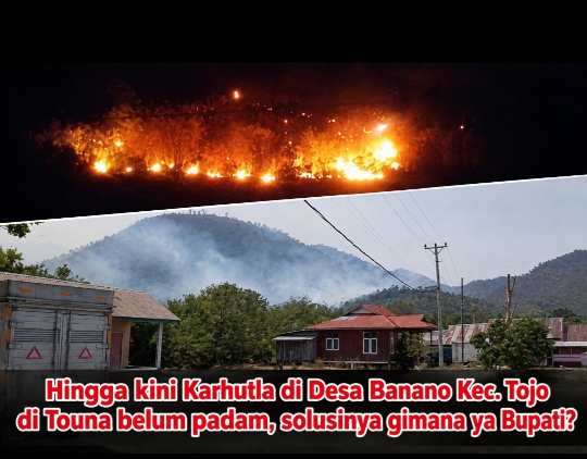 Karhutla Kepung Tojo, Asap Tebal Ganggu Aktivitas Sekolah